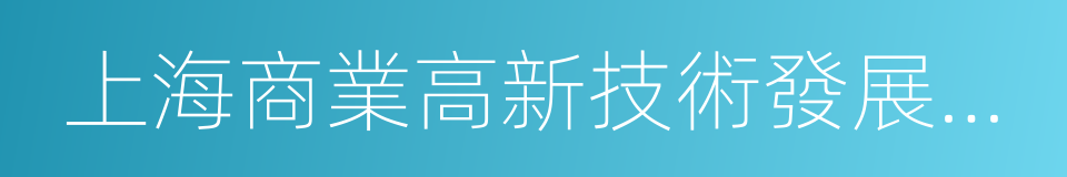 上海商業高新技術發展有限公司的同義詞