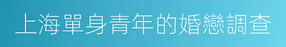 上海單身青年的婚戀調查的同義詞