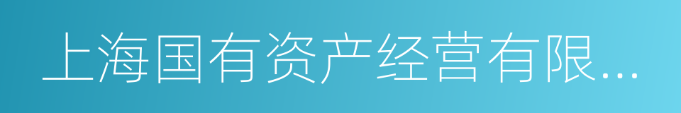 上海国有资产经营有限公司的同义词