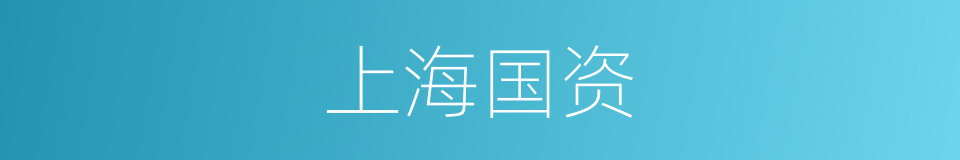 上海国资的同义词