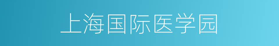 上海国际医学园的同义词