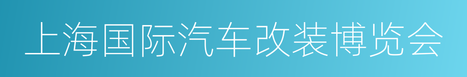 上海国际汽车改装博览会的同义词