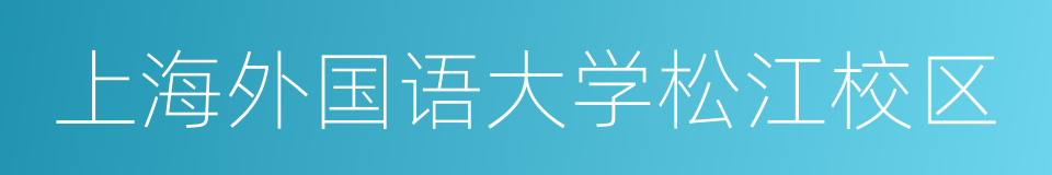 上海外国语大学松江校区的同义词