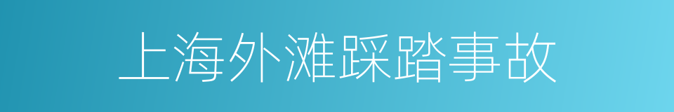 上海外滩踩踏事故的同义词