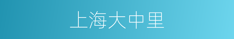 上海大中里的同义词