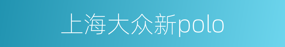 上海大众新polo的同义词