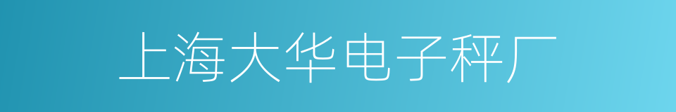 上海大华电子秤厂的同义词