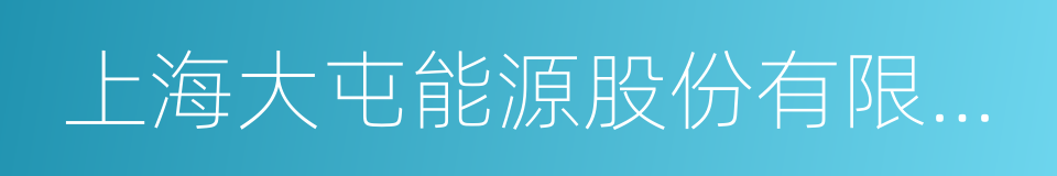 上海大屯能源股份有限公司的同义词