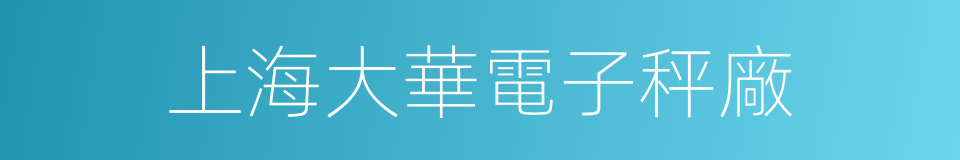 上海大華電子秤廠的同義詞