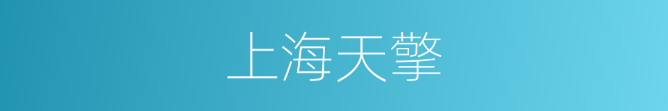 上海天擎的同义词