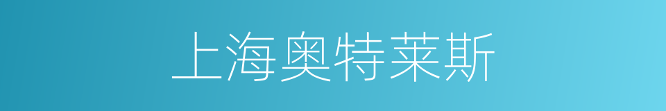 上海奥特莱斯的同义词