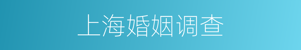 上海婚姻调查的同义词