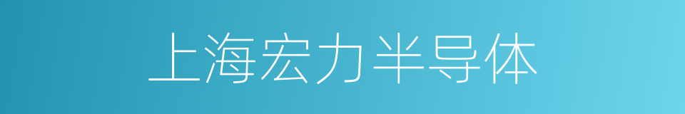 上海宏力半导体的同义词