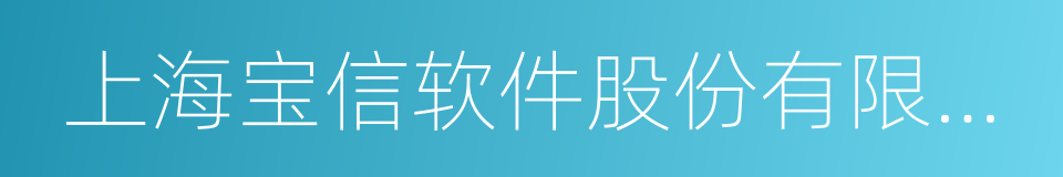 上海宝信软件股份有限公司的同义词