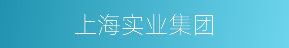上海实业集团的同义词