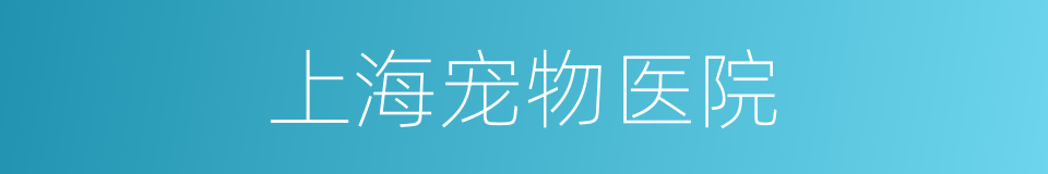 上海宠物医院的同义词