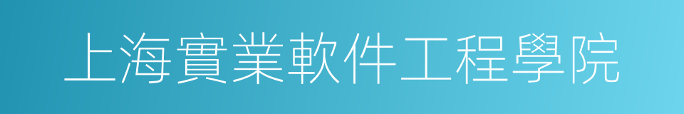 上海實業軟件工程學院的同義詞