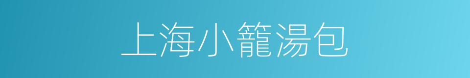 上海小籠湯包的同義詞
