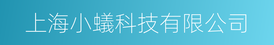 上海小蟻科技有限公司的同義詞