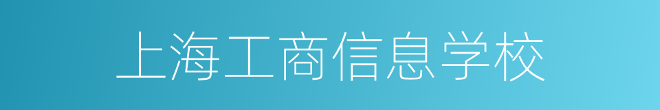 上海工商信息学校的同义词