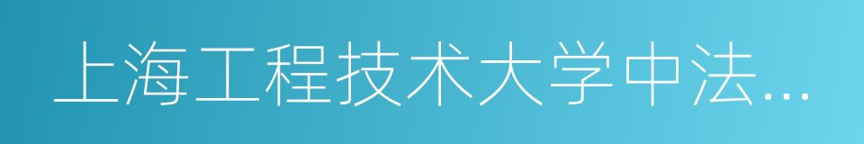 上海工程技术大学中法埃菲时装设计师学院的同义词