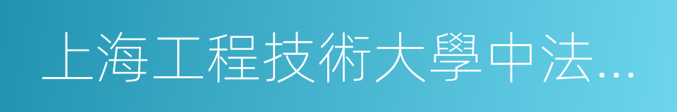 上海工程技術大學中法埃菲時裝設計師學院的同義詞