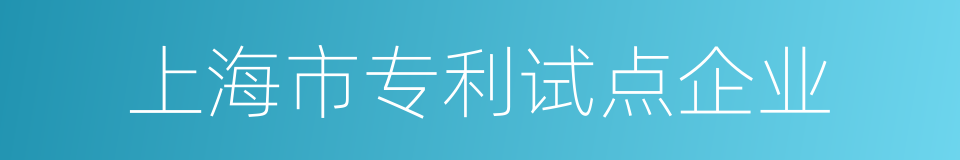 上海市专利试点企业的同义词