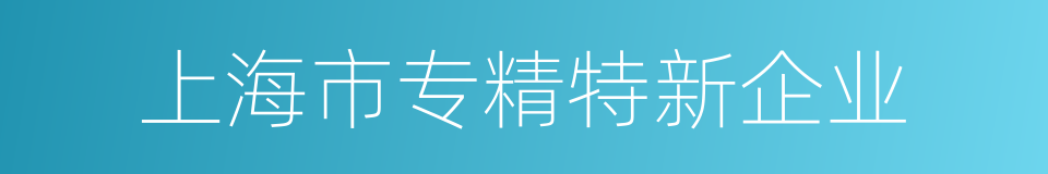 上海市专精特新企业的同义词