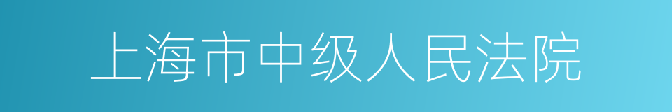 上海市中级人民法院的同义词