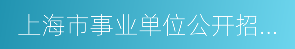 上海市事业单位公开招聘人员暂行办法的同义词