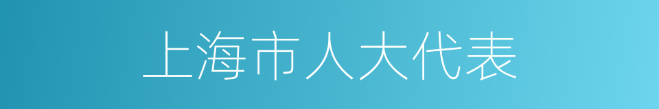 上海市人大代表的同义词