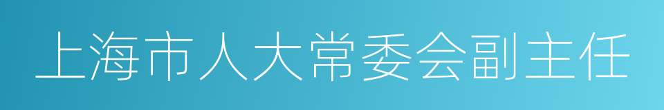 上海市人大常委会副主任的同义词