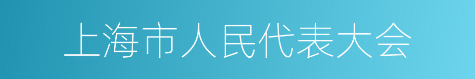 上海市人民代表大会的同义词