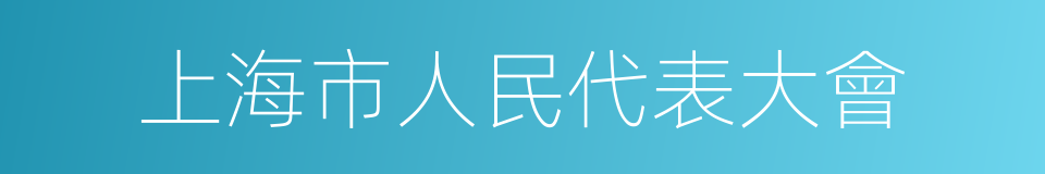 上海市人民代表大會的同義詞