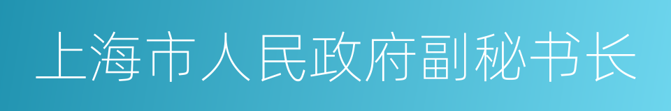 上海市人民政府副秘书长的同义词