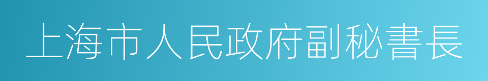 上海市人民政府副秘書長的同義詞