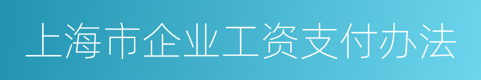 上海市企业工资支付办法的同义词