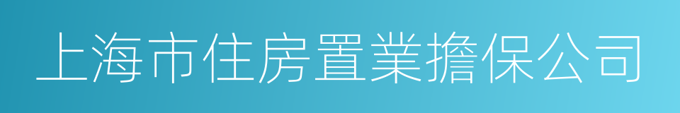 上海市住房置業擔保公司的同義詞