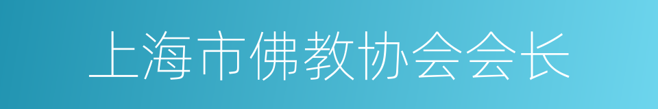 上海市佛教协会会长的同义词