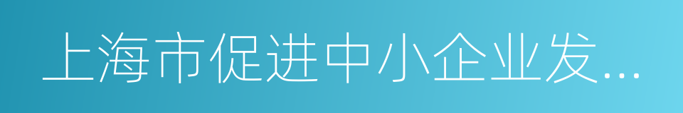 上海市促进中小企业发展协调办公室的同义词