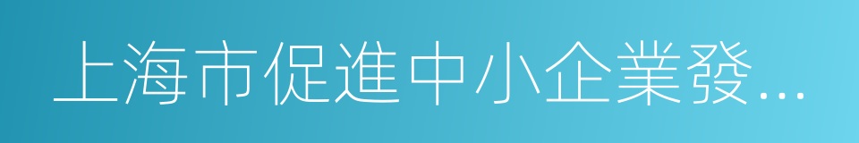 上海市促進中小企業發展協調辦公室的同義詞