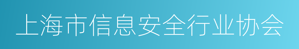 上海市信息安全行业协会的同义词