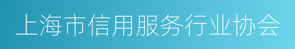 上海市信用服务行业协会的同义词