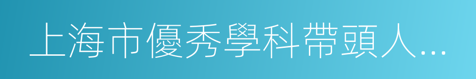 上海市優秀學科帶頭人計劃的同義詞