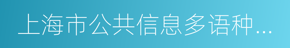 上海市公共信息多语种服务手册的同义词