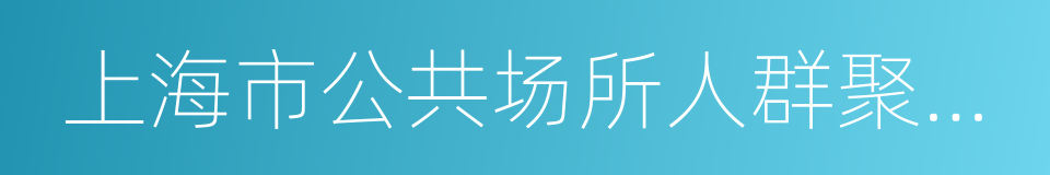 上海市公共场所人群聚集安全管理办法的同义词