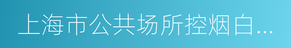 上海市公共场所控烟白皮书的同义词