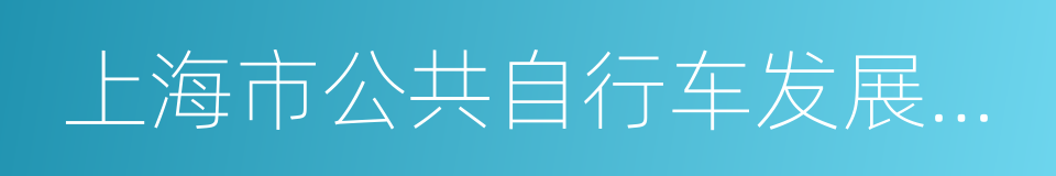 上海市公共自行车发展指导意见的同义词