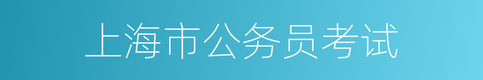 上海市公务员考试的同义词