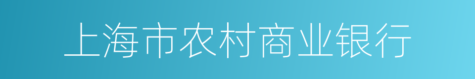 上海市农村商业银行的同义词